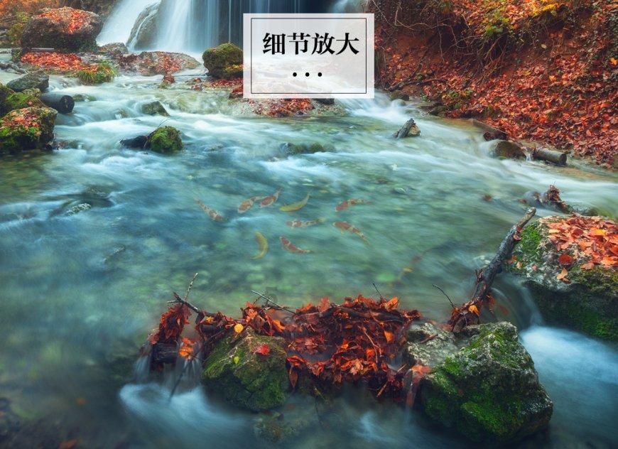 三小只僵尸的游戏时间8